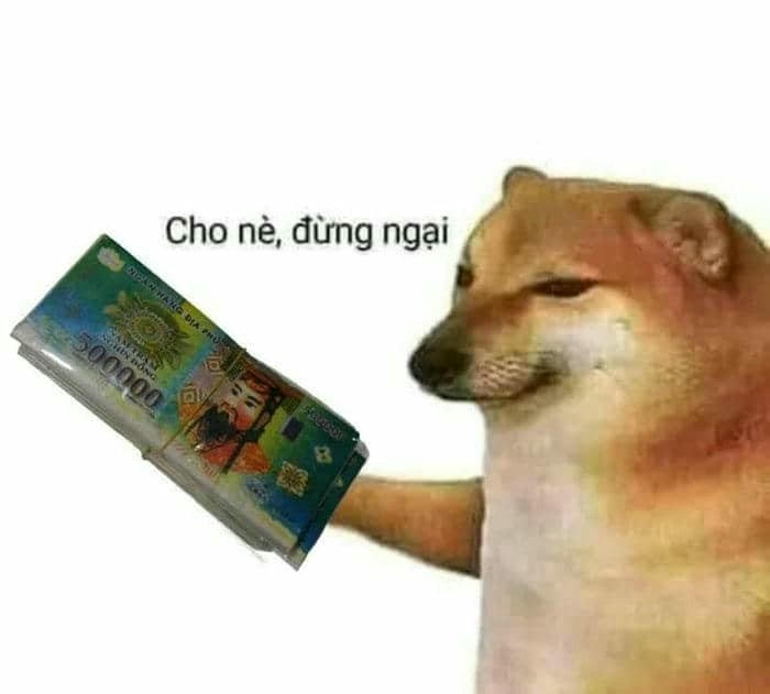 Meme tiền bựa nhìn mà đau lòng